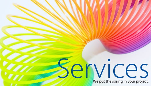 Service Page Title